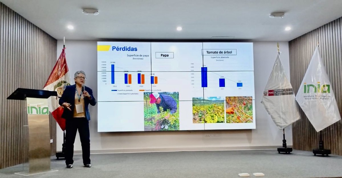 INIAPECUADOR's tweet photo. #Lima | Nuestra investigadora Carmen Castillo, de la Estación Experimental Santa Catalina, participó como expositora en el V Congreso Peruano de la Papa. El INIAP lideró un taller sobre punta morada de la papa 🥔 y presentó avances de los proyectos Patafest, McKnight y FONTAGRO. https://t.co/fsQ18evNj2