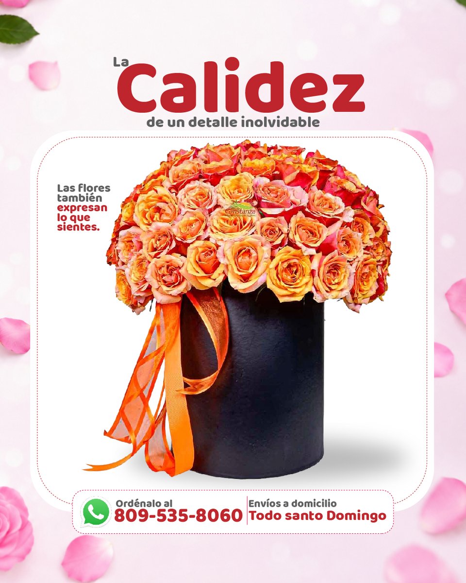 wwwjconstanza's tweet photo. Expresa tus sentimientos con nuestra hermosa Box Floral. Un detalle elegante, lleno de color y diseñado para hacer florecer sonrisas. 💐✨ ¡Ordénala hoy!

#JardínConstanza #MomentosQueFlorecen #BoxFloral #Flores #RegalaEmociones #DetallesConAmor #FloresRD #RegalosEspeciales https://t.co/vV1qIBN0ZD