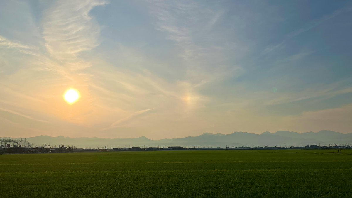 tourisu's tweet photo. 薄い雲がかかって涼しい朝です
5:30am
16℃
月山の雪が朝日を浴びています。
朝日は左右に幻日を作っているようでした。
稲には朝露🌾

サッカーはひりつくいい試合でしたね。
ブラジルに負けて悔しいと思えるのは、昔からしたら凄い進歩です。

#山形
#イマソラ https://t.co/QsiVgAo1J1