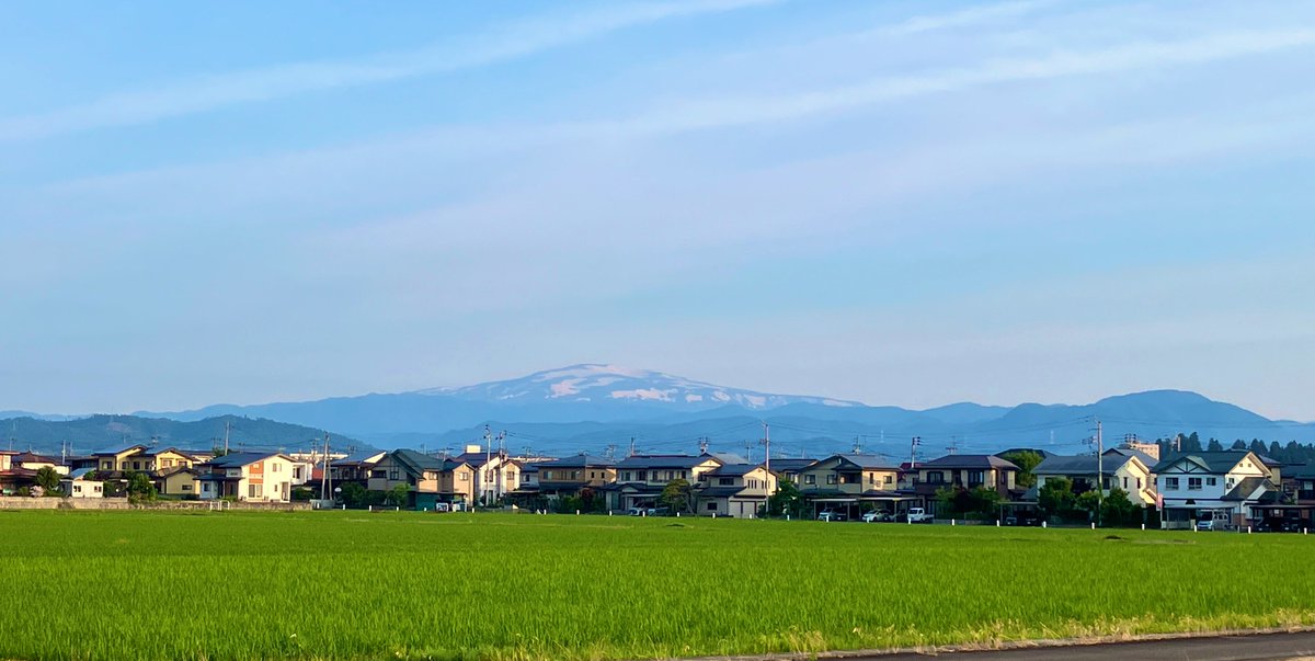 tourisu's tweet photo. 薄い雲がかかって涼しい朝です
5:30am
16℃
月山の雪が朝日を浴びています。
朝日は左右に幻日を作っているようでした。
稲には朝露🌾

サッカーはひりつくいい試合でしたね。
ブラジルに負けて悔しいと思えるのは、昔からしたら凄い進歩です。

#山形
#イマソラ https://t.co/QsiVgAo1J1