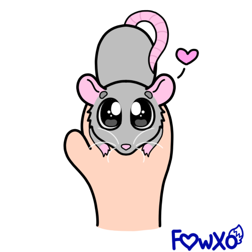 FawxoGoFloof's tweet photo. This sweet ratty was too cute for me to not draw 🥺♥️ https://t.co/9ThMb7HCzw