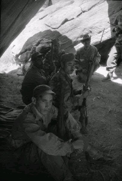 DzMilHistory's tweet photo. Algeria's Historic Fifth Wilaya during the Algerian War of Independence.
Photographed by the American photojournalist Dickey Chapelle https://t.co/pycPIvWyrm