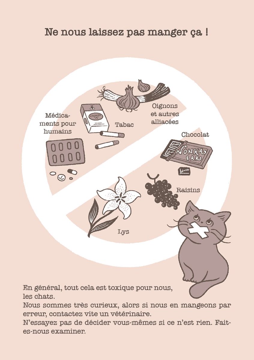 ネコに食べさせないで！ 🐾 Don't let cats eat these! 🐾 Ne nous