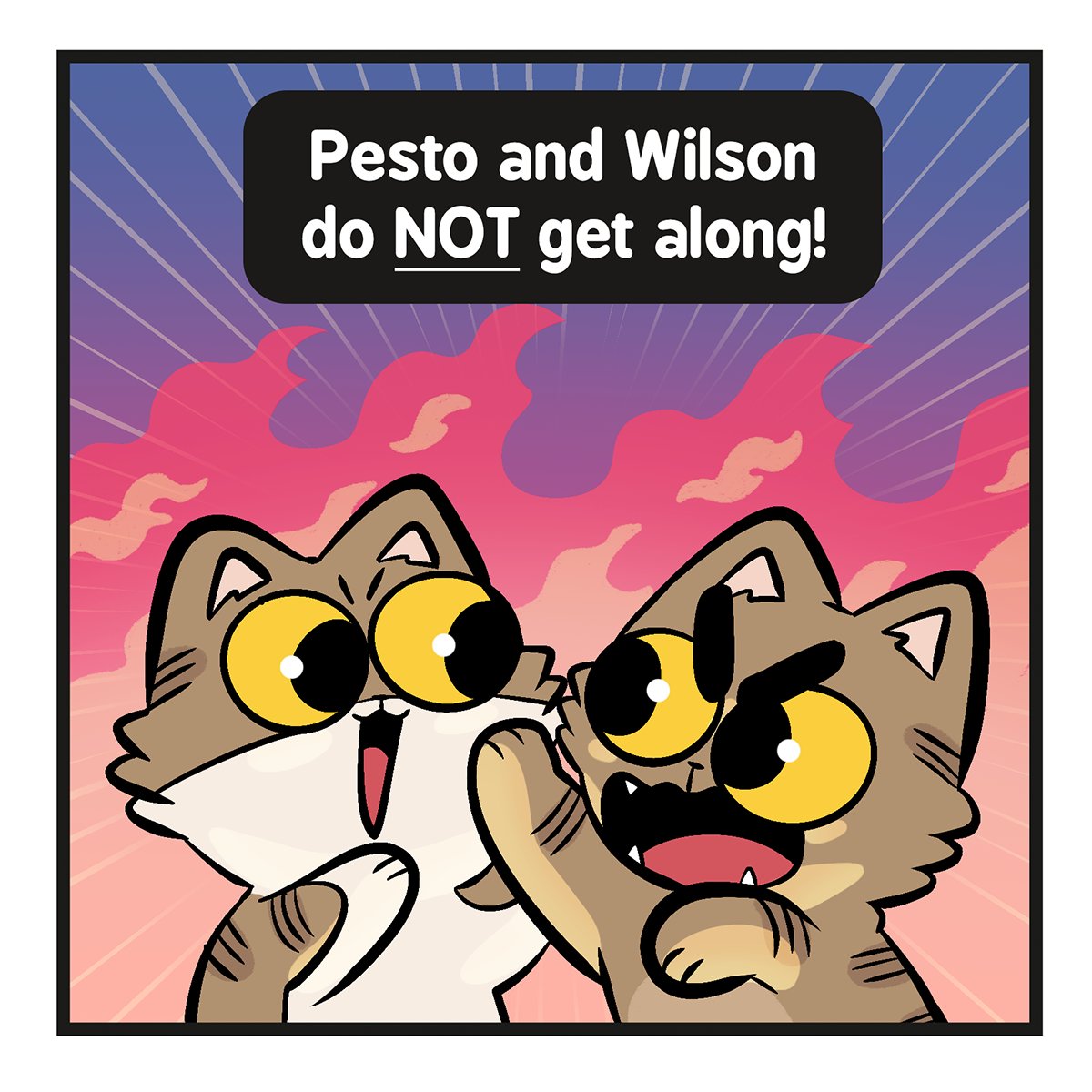 Sarah Graley ✨ Cats! now on Kickstarter! tweet media