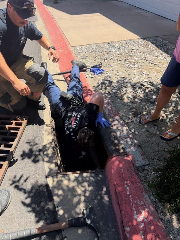 RenoFirefighter's tweet photo. Last week, Reno Firefighters working in the Somersett area, rescued a small dog that accidentally slipped into a storm drain. The little guy is doing OK. ￼ https://t.co/Q6yhs6UFPV