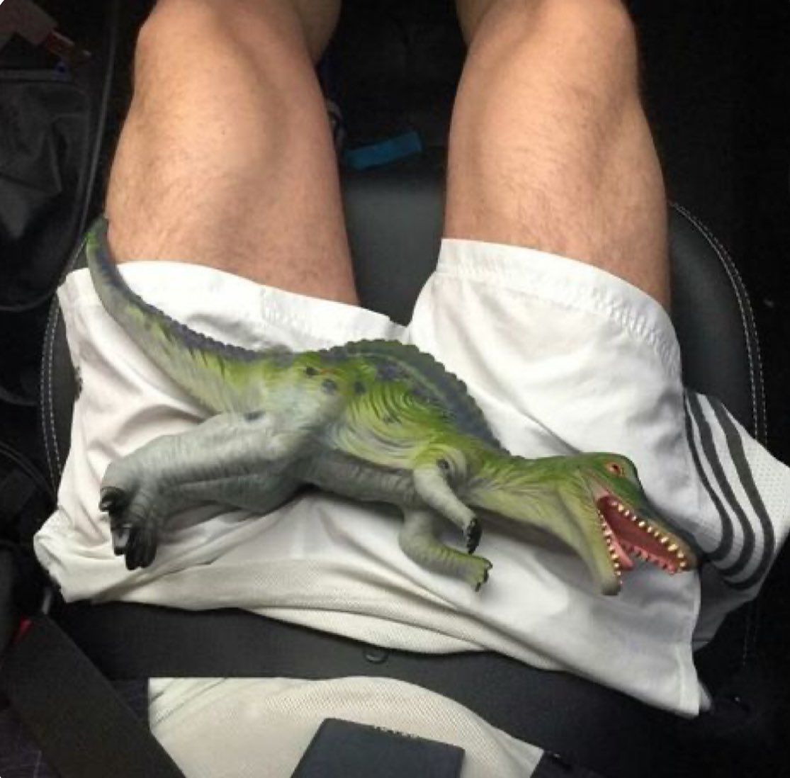 ULTRAKNK's tweet photo. 🦖 https://t.co/WGcLQdQJAE