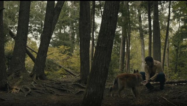 fansoffrom2's tweet photo. Wondering if season 5 will bring answers to who this little cutie is and belongs to. 

#FROMily https://t.co/u0fEQ1tpBh
