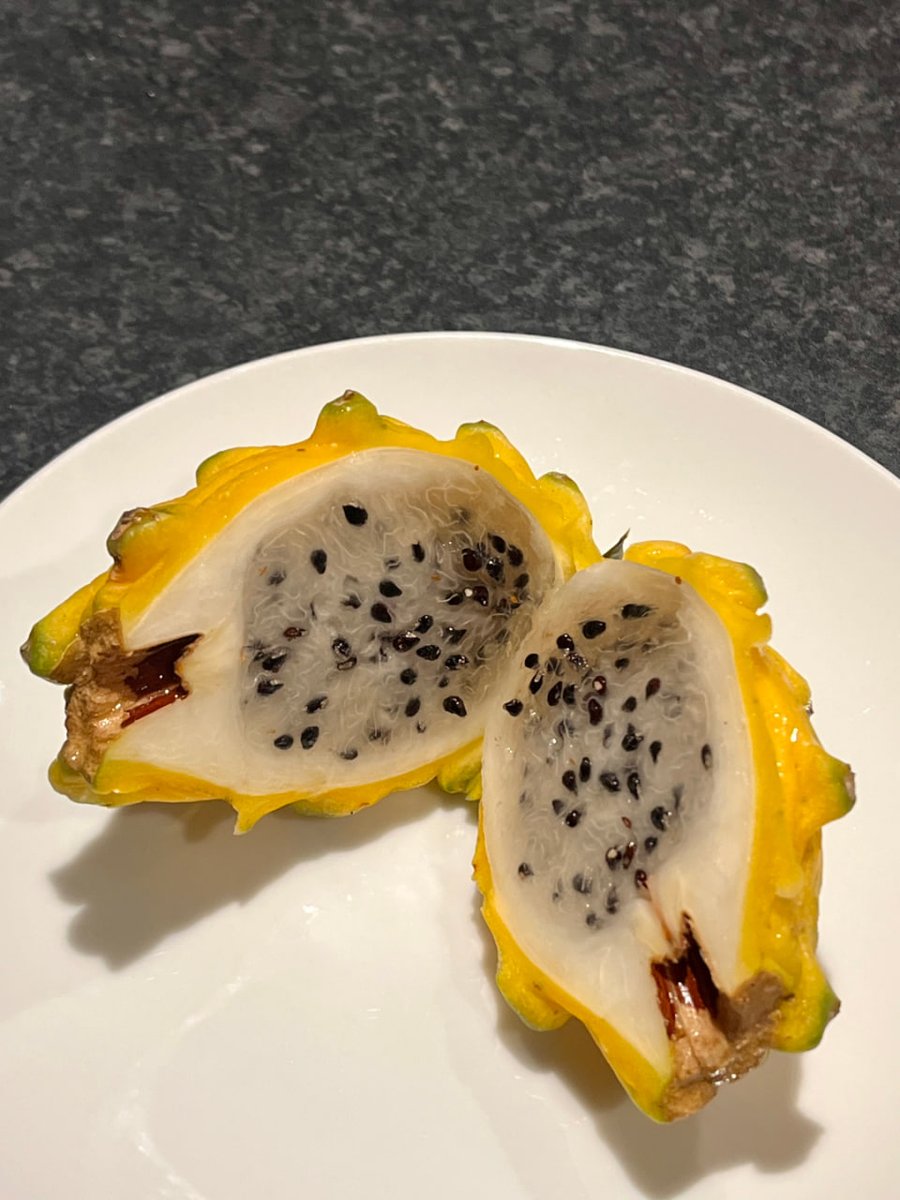 bjeeweon's tweet photo. The yellow dragon fruit at Costco is not very big but it is very sweet, even sweeter than any dragon fruit I have ever eaten 🍈 It's so delicious!! https://t.co/xHsqHOtSOM
