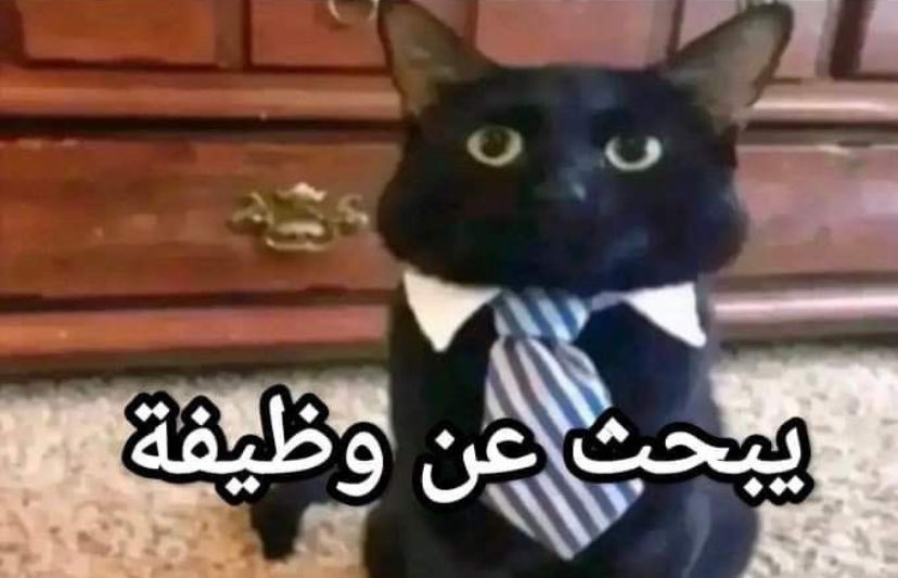 cile2i's tweet photo. https://t.co/GLIjO4l9Ok