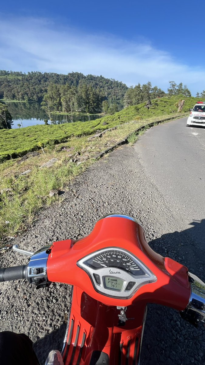 ppppdnp's tweet photo. suka bgt gue liat ijo ijo gini,knp temwn’ gue gpd mau ke alam sih anjjjn https://t.co/DSHFRpl8zx