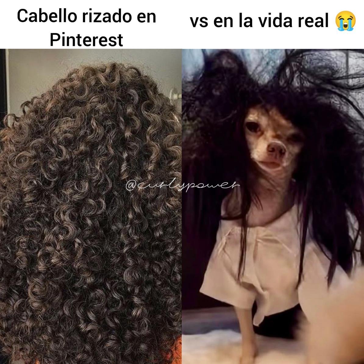dulce_castllo's tweet photo. Oigan diosa rulosa de amarás me tiene fascinada!! 😍es lo que necesitan todas las girlies con cabello salvaje como el mío jeje así que recomendado al cien... el acondicionador es lo mejor https://t.co/VfHOTJdWOs