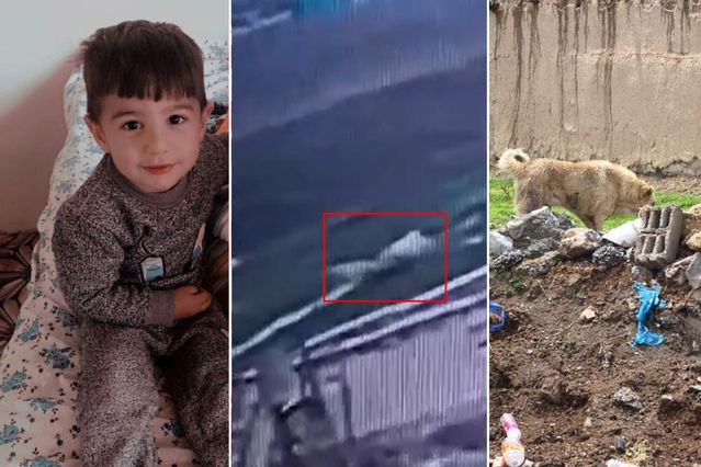 manthlyguess's tweet photo. Küçük Hamza’nın gülüşünü çalan bu ihmaller zinciri mutlaka hukuk önünde hesap vermelidir artık. #HamzaİçinAdalet #dofrb https://t.co/wZP9AVj8CE