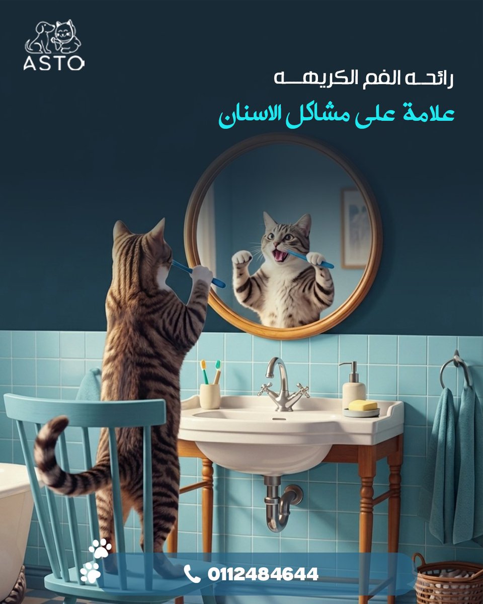 Asto_Vet's tweet photo. رائحة الفم الكريهة ليست مجرد مشكلة مزعجة، بل قد تكون علامة على مشاكل الأسنان أو اللثة لدى قطتك.
العناية الدورية بالفم تحافظ على صحة أسنانها ونشاطها وحياتها الصحية. 💙 https://t.co/H6oQkpga6P