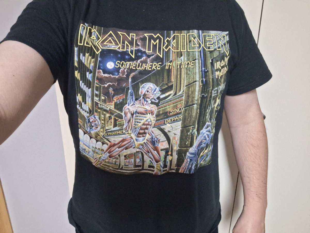 DavidGTato's tweet photo. #Metalshirt #SomewhereInTime #DerekRiggs #MaidenMonday #UptheIrons https://t.co/nK1kauJx7I