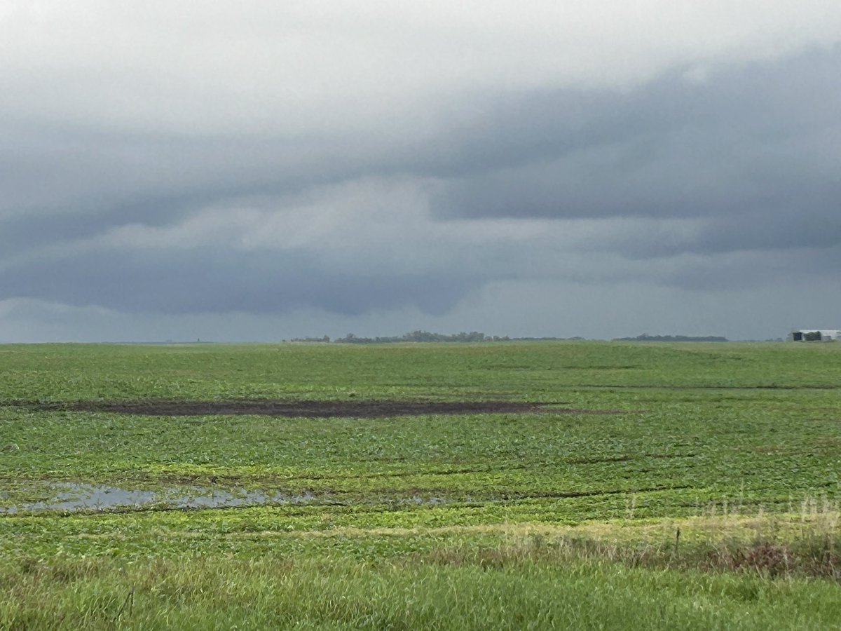 StormShadow204's tweet photo. Lowering on this cell at 15:55 near Dand, MB 

#MBstorm #MBwx https://t.co/s4FUvUbeSX