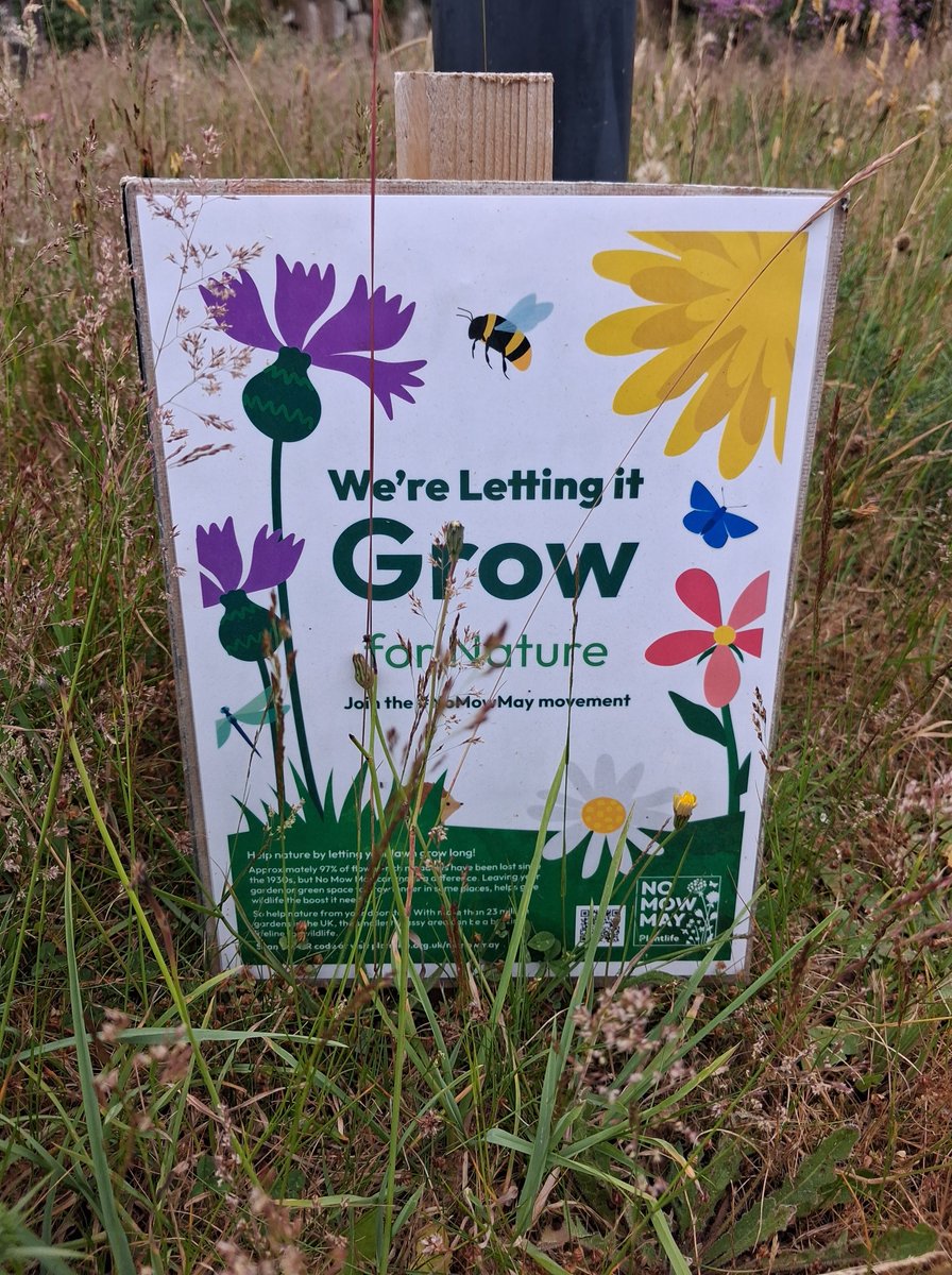 afewmilesmore's tweet photo. It's great to see that they skipped the end of #NoMowMay on the Isles of Scilly. https://t.co/SgtX0YQhWt