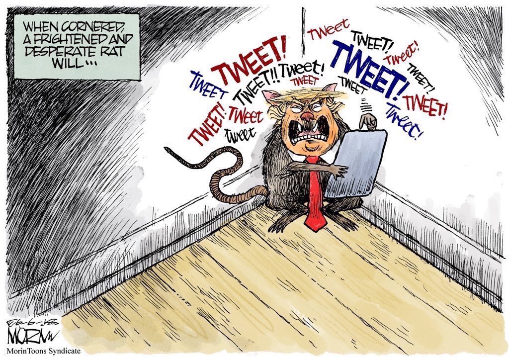 Mexknpwr's tweet photo. @RaccoonieBandit https://t.co/VvaxU2G9ms