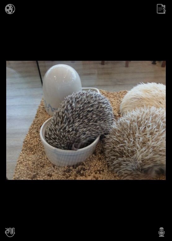 hirasauna's tweet photo. 微小的细节（如焊接速度、压力）会影响产品的强度与耐用性。Liam 收拾好气球架，将剩余的气球扎在一起送给一群正要离开的孩子，孩子们欢呼雀跃，家长们也对他这一善举表示感谢。 https://t.co/zPZwKGytTc