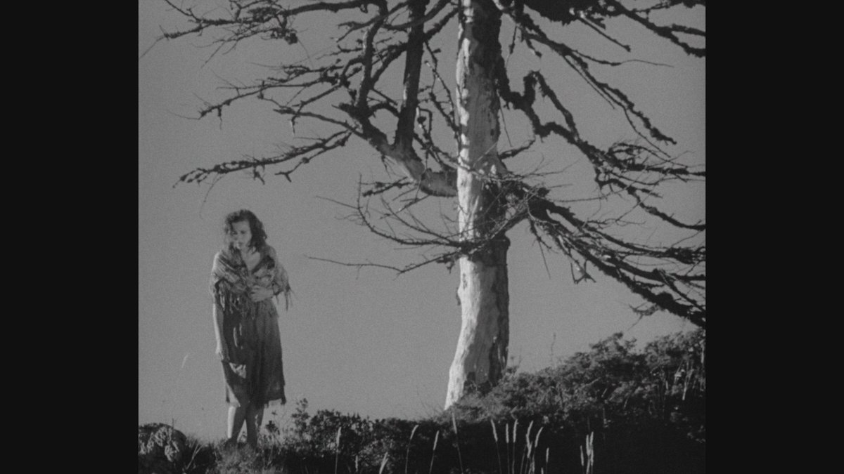 TorrentFilmFest's tweet photo. The Blue Light
Leni Riefenstahl, Béla Balázs
1932

Drawn to a beauty that cannot be shared without being diminished, the film hints that what we try to possess often loses its essence, and that wonder survives only at a distance. https://t.co/jdFzD1IIgQ