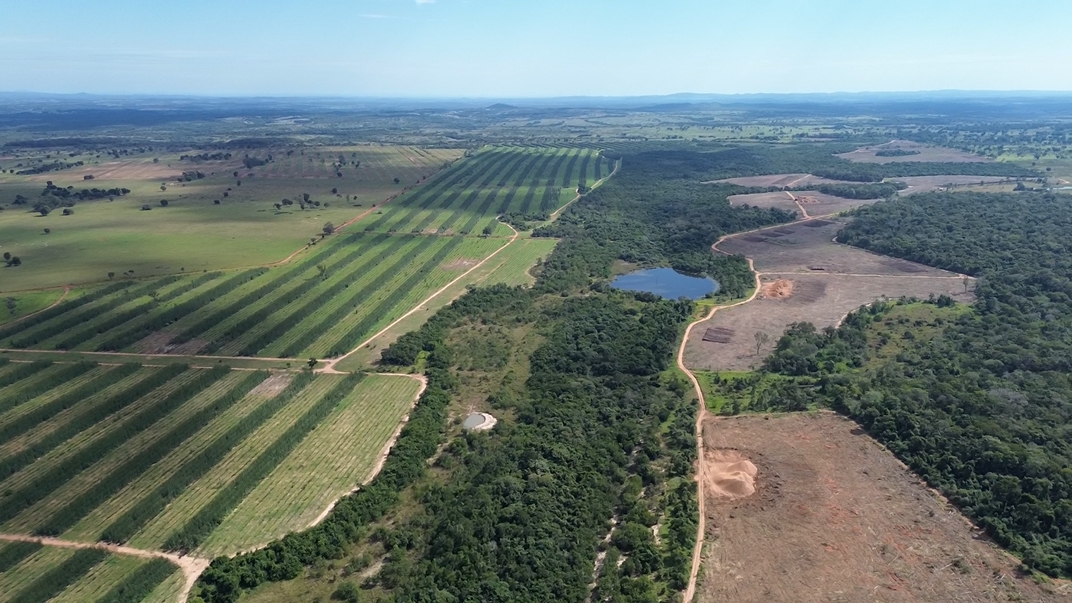 pecuariadobem's tweet photo. Do lado esquerdo, o projeto Silvipastoril em pleno crescimento. 
Do lado direito, a colheita da Floresta a todo vapor
No centro.. a APP preservada, defendendo as minas dágua .
Quem pode entender mais de Meio Ambiente do que aquele que vive e convive com ele todo dia? https://t.co/jNKiW0eOJC