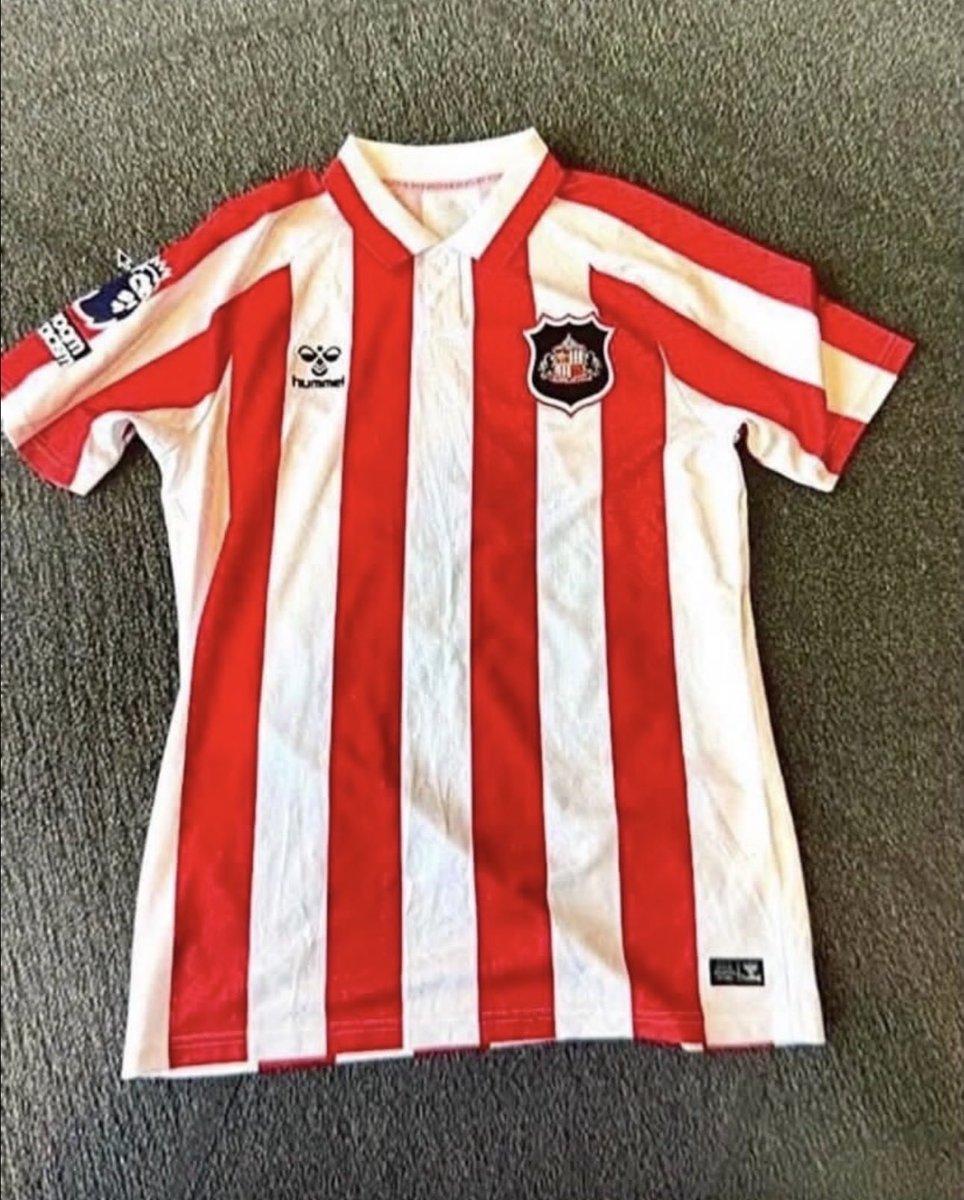 cmsafc28's tweet photo. #SAFC Not a fan of the collar https://t.co/Y4bvv15kVB