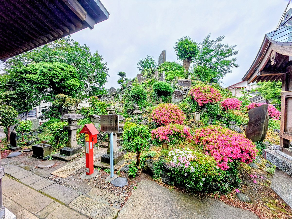 ts19780322's tweet photo. 千葉県流山市⛩️流山浅間神社

『流山本町の鎮守』

江戸時代初期に『醤油醸造家・浅見家』が富士浅間大神を分霊を祀り富士信仰が盛んな『根郷地域の鎮守』として創建され明治時代に入り築かれた千葉県内屈指の規模を誇る『流山富士塚』を有する神社です。

御祭神:木花開耶姫命 https://t.co/YOQ5fV8DC6