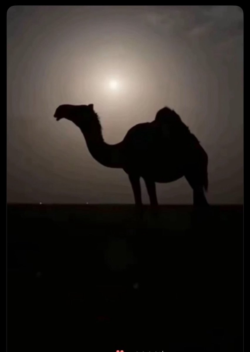 walamn9's tweet photo. يقول خلف بن هذال : 
احــــــذر عـــــدوك دبة الـــعمر مـــرّه
واخذ الحذر من صاحبك عشر مرات https://t.co/7EFxMP7pjc