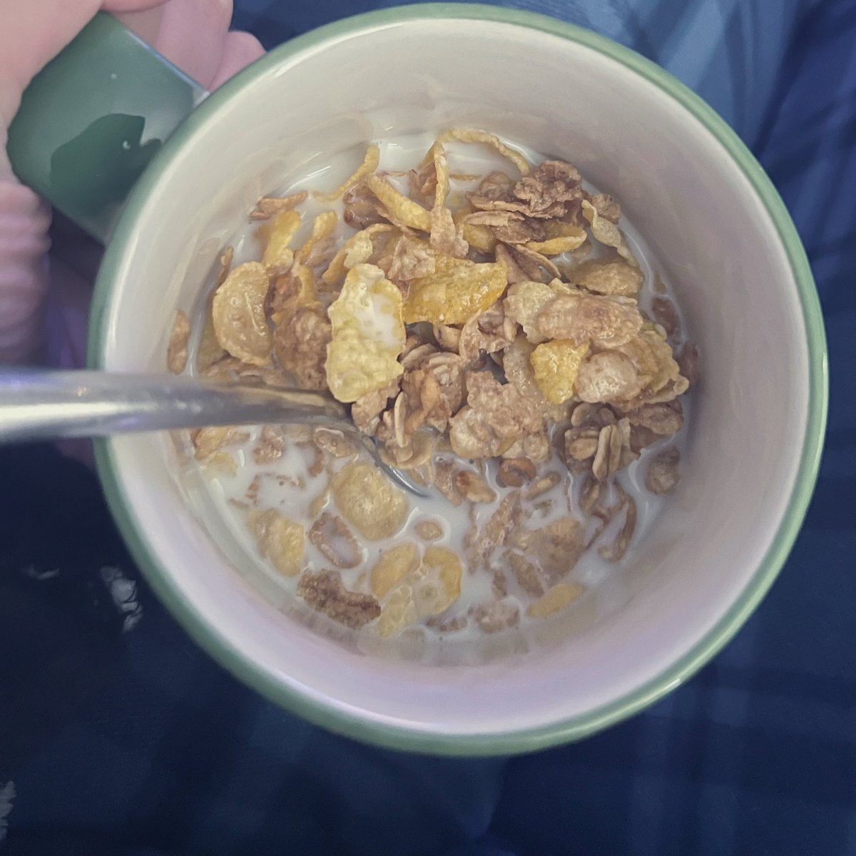 kcalsperhour's tweet photo. honey bunches of oats
cereal 160
milk 150 https://t.co/bdeMJZYkAG