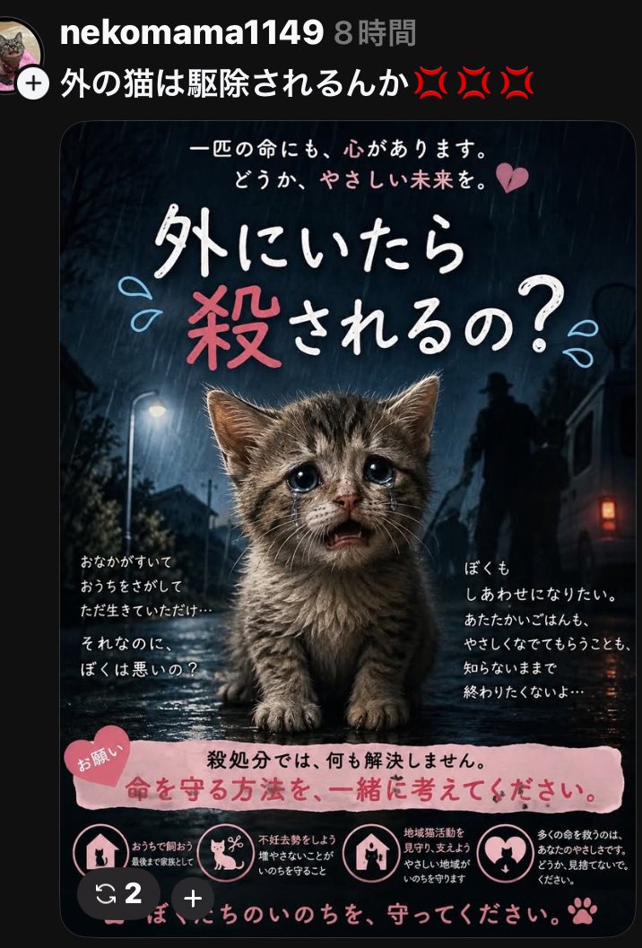 kkkfff1234k's tweet photo. 命を何だと‼️
外に居たら56される そんな理不尽な 🐱が何をした⁉︎
悪法悪政策ばかり国民を苦しめる事しかしないｷｶ議員を駆除しろ https://t.co/Mosedro4Qv