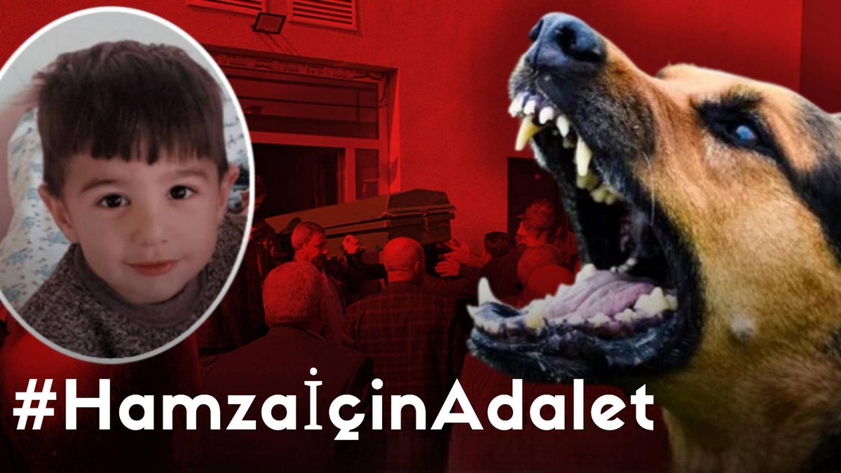 manthlyguess's tweet photo. Bir çocuğun hayatı sahipsiz köpeklerin keyfinden daha mı değersiz ki hala somut bir adım atılmıyor? #HamzaİçinAdalet #dofrb https://t.co/I7igqn0JbB