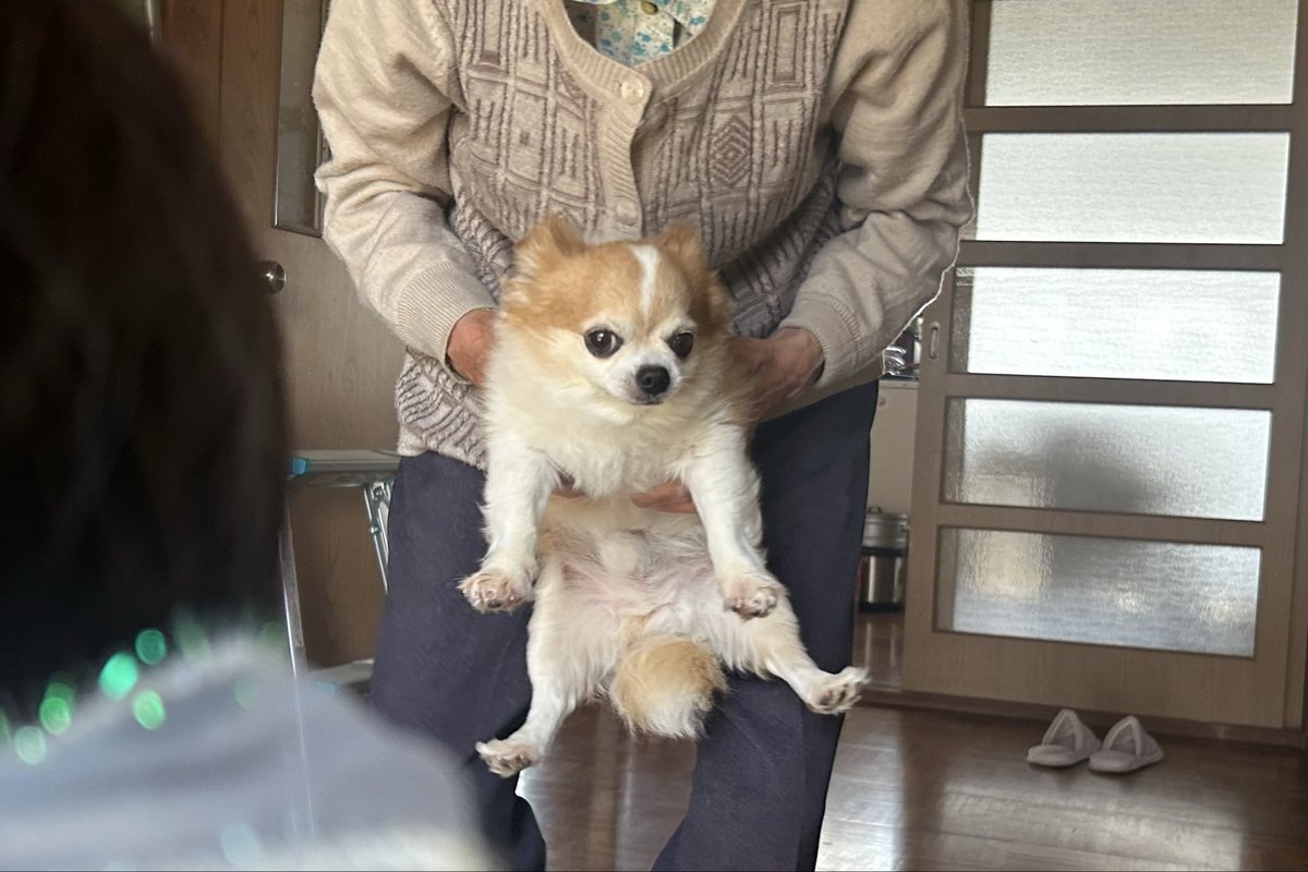 chiwarwar's tweet photo. https://t.co/502gsvu4OJ