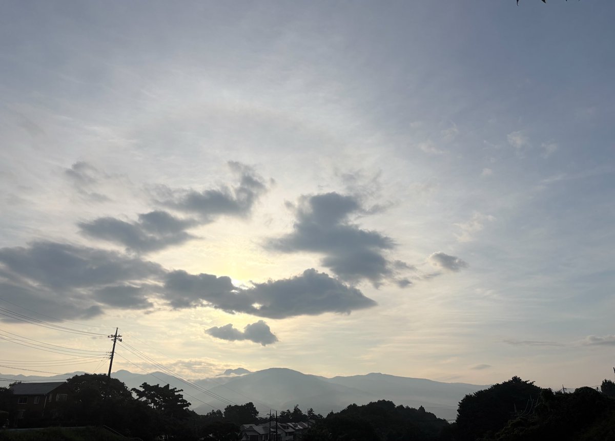 hobogensan's tweet photo. おはようございます。

久しぶりの明るい朝。
二度寝して出遅れたけど、お散歩民がいっぱい。
お巡りさんに連れられたお婆さんまで・・・迷子？
自分の将来がちょっと心配になった朝です。

ブルベリー1号を収穫。
認知機能の低下を抑制、短期記憶向上の効果ありとか😋

良いこと考えてfight🫐 https://t.co/ZmU8TMUjIu
