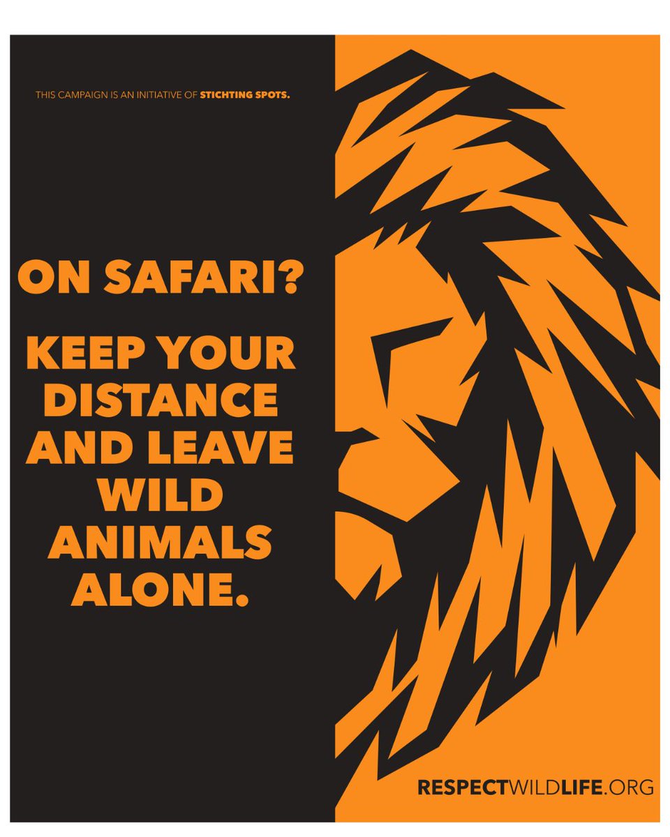 stichtingspots's tweet photo. Vanaf deze week zijn uitingen van onze campagne ook te zien op lichtboxen op Schiphol. Onze campagne heeft twee pijlers: we richten ons op safari reizigers en op mensen die naar landen gaan waar veel excursies worden aangeboden met wilde katachtigen.
https://t.co/fnYbF2SNCV https://t.co/dS4gYDhNcy