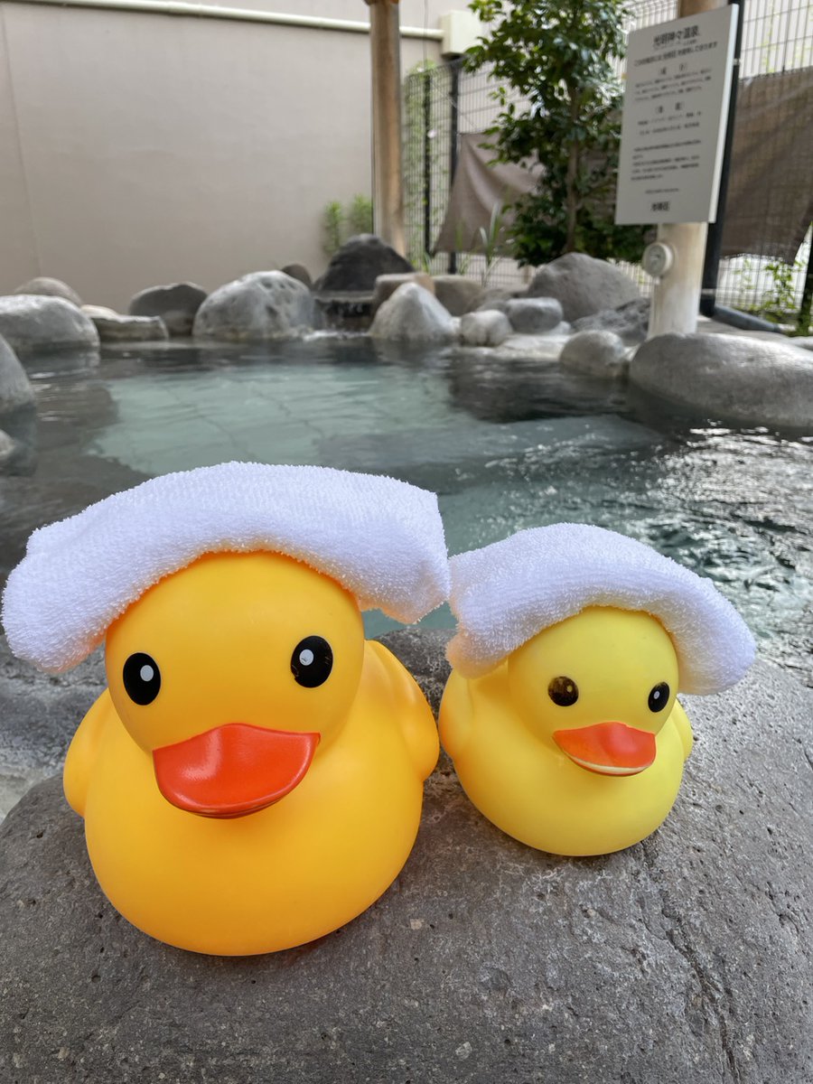 ytpsendaiminami's tweet photo. 本日は6月最終日‼️
月末の疲れをゆ～とぴあで癒しましょう☺️

本日は【メンズデー♂️】
男性のお客様はLINEポイント2倍‼️
サウナ室の温度もUPしております🔥

皆様のご来館お待ちしております♨
＃ゆ～とぴあ仙台南　＃ロウリュウ https://t.co/nX5Ifugf2Y