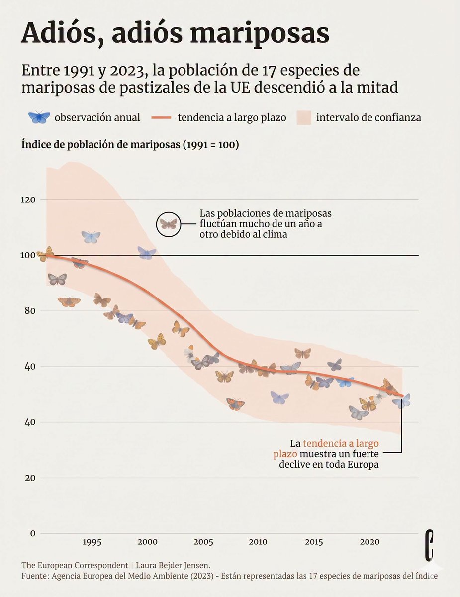 cleporati's tweet photo. La ministra de Medio Ambiente, Francisca Toledo, fue incapaz de reconocer el cambió climático hace unas semanas atrás, siguiendo con la línea negacionista ideológica de los gobiernos de extrema derecha impuesta desde EE.UU por distintos grupos de interés y a pesar de las múltiples evidencias, por ejemplo, la desaparición de las mariposas, población q ha caído a la mitad en poco más de 30 años. 
Las orugas y mariposas son el menú de incontables especies de aves, pequeños mamíferos y reptiles; el colapso en la pirámide  alimenticia y el impacto en la biodiversidad es evidente.
