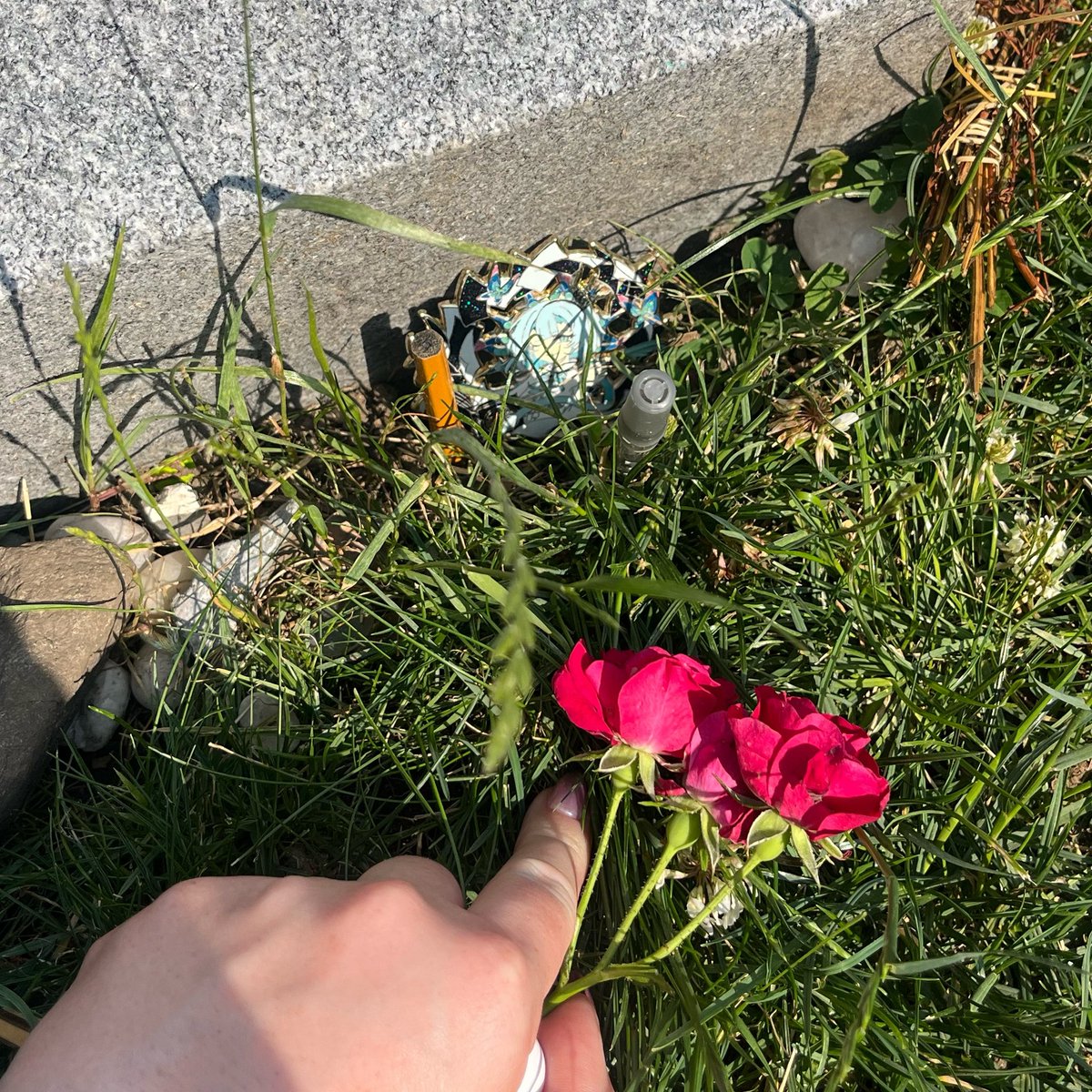 hamsterdotcom_'s tweet photo. Hanging out w the anime girl enamel pin at the HP Lovecraft grave don't text https://t.co/wMfMEMiDdK