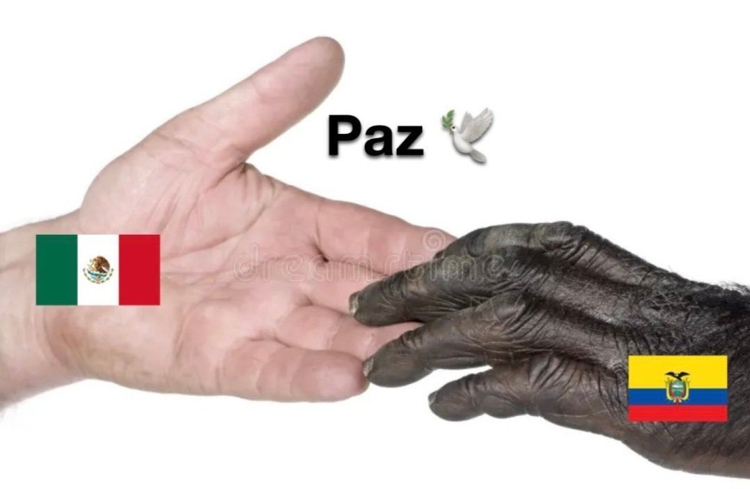 Vaquerito de coco mundialista 🤠🥥 tweet media