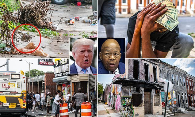 Davidls3j's tweet photo. @FoxNews EXCLUSIVE: Where HAS all the money gone? The truth is Baltimore can't account for millions while poverty is rampant and drugs, danger and yes,  rats lurk around every corner of the 7th District https://t.co/RpDooYSpL2 https://t.co/HjugC67v7I