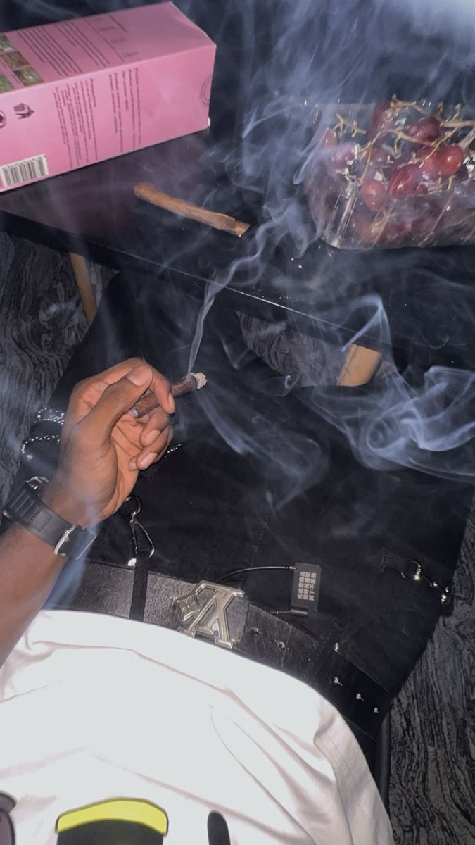 stillfenriq's tweet photo. puffin on zootiez https://t.co/qvw1u3tuRN