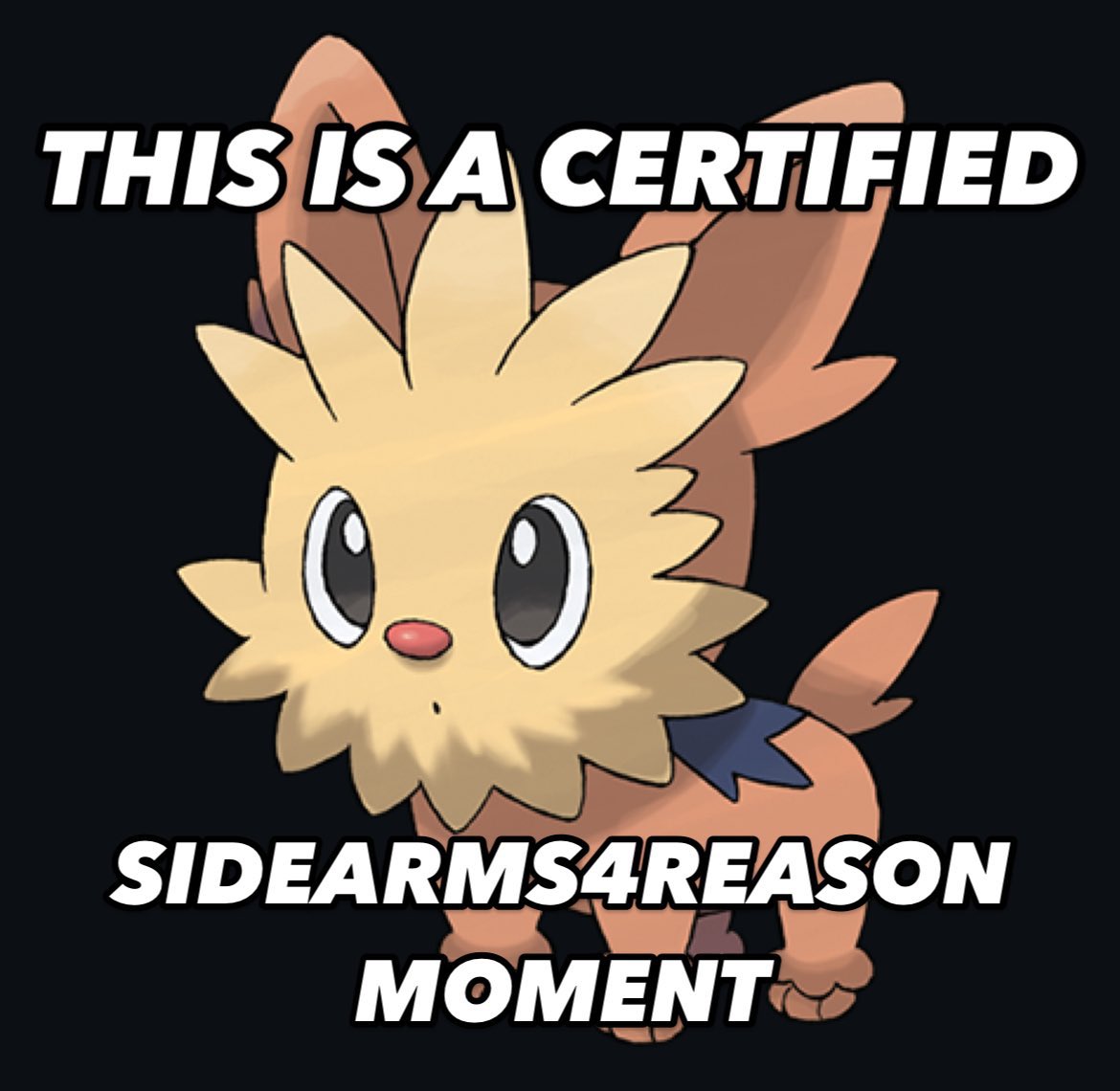 LoganTOleary's tweet photo. @KYRSUNSET @Albi_SideArms https://t.co/jt21yJVqJz
