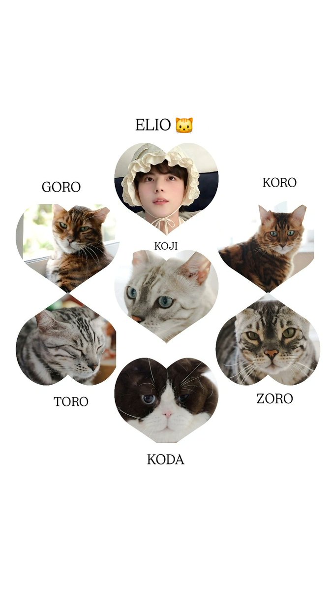 sunflooweeeerrr's tweet photo. Dari ketujuh kucing ayden cuma satu yang mukanya gak galak #izin 🙏🏻😭

#aylio #政瞳 https://t.co/At8VqOoxnI
