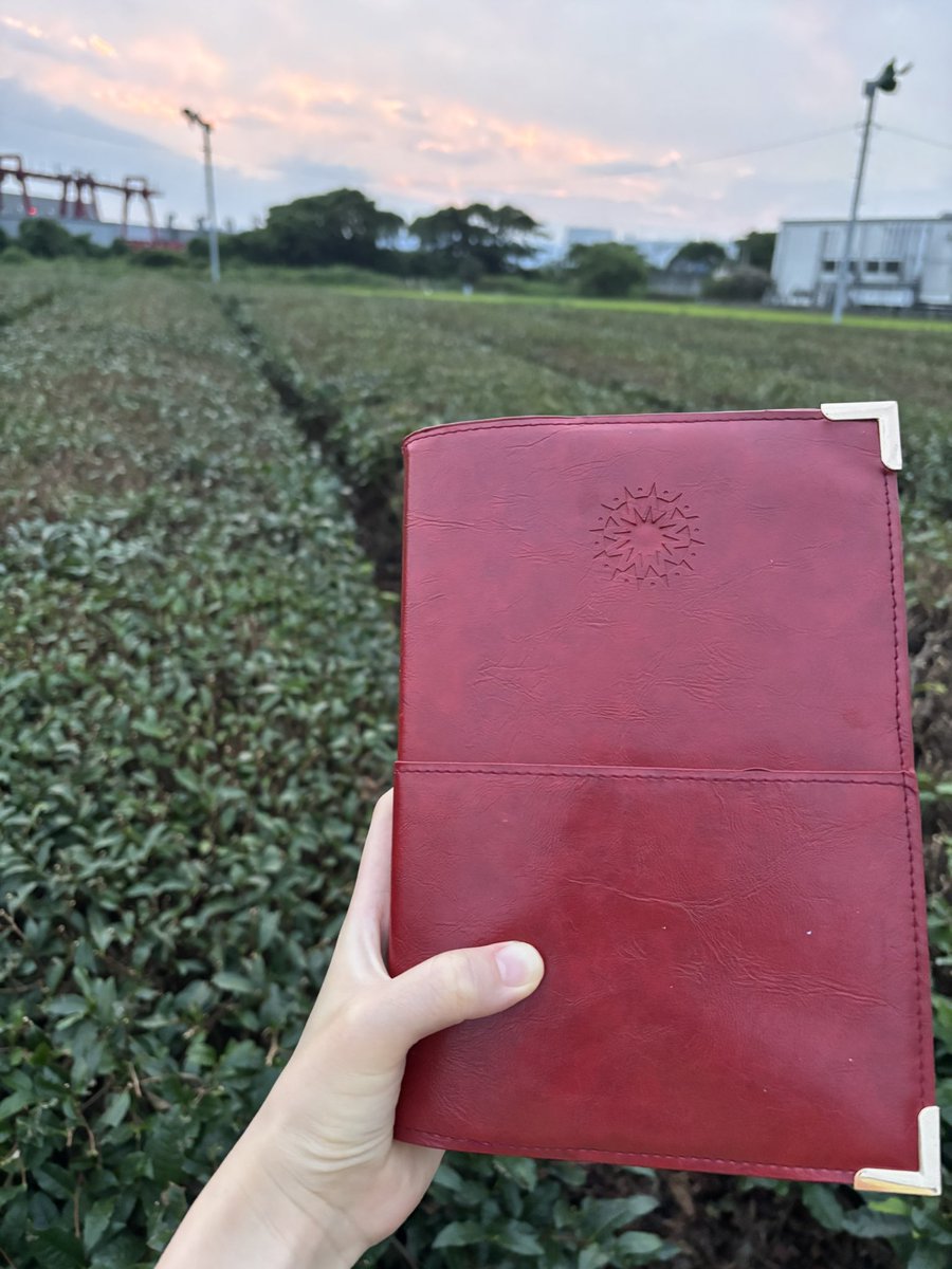 io44116's tweet photo. 美羽ちゃんへ＾＾
日の出前にパチリ📷
福岡県筑後市です。お隣の八女市がお茶が有名で筑後市にもお茶畑がちらりとあります😊

#全国手帳MAP https://t.co/VQ4AaDMMpO