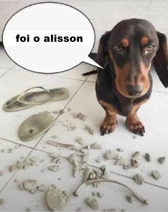 Rodrigo_Stasiak's tweet photo. @Oledobrasil https://t.co/daxKr38Pj1