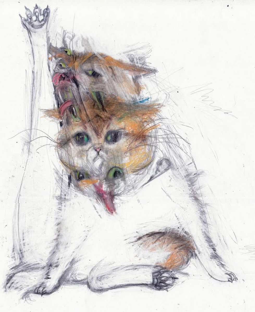solisolsoli's tweet photo. Cat by Leo Forest https://t.co/h8NxSZ3S4k