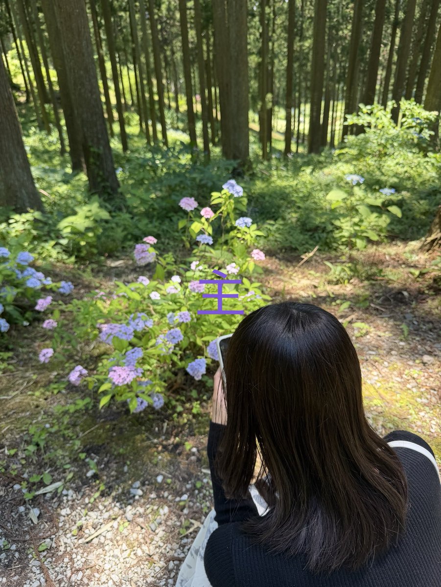 U8y2U's tweet photo. お互いにムラムラを我慢できなくなり無理矢理休んで会いに行きました😊
紫陽花よりも相棒の花ビラ見たくて早急に社員寮に😁

ムラムラしてたのもあり激しく求め合ってしまいました🥵「飛びそう…」と呟いた後に反応無くなり口開けたままフリーズしてました😍白目も撮影しましたが見せられない🙈 https://t.co/dAYL7FwfnS