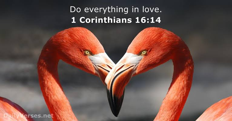 netpi's tweet photo. Love     
1 Corinthians 16:14
Love is the visible evidence that an invisible God is at work in you. When fear has been answered and peace has settled in, love is what's left to give.

#God #JesusChrist #HolySpirit #Love #Today #peace #faith #glory https://t.co/ZtsJ7zeyu8