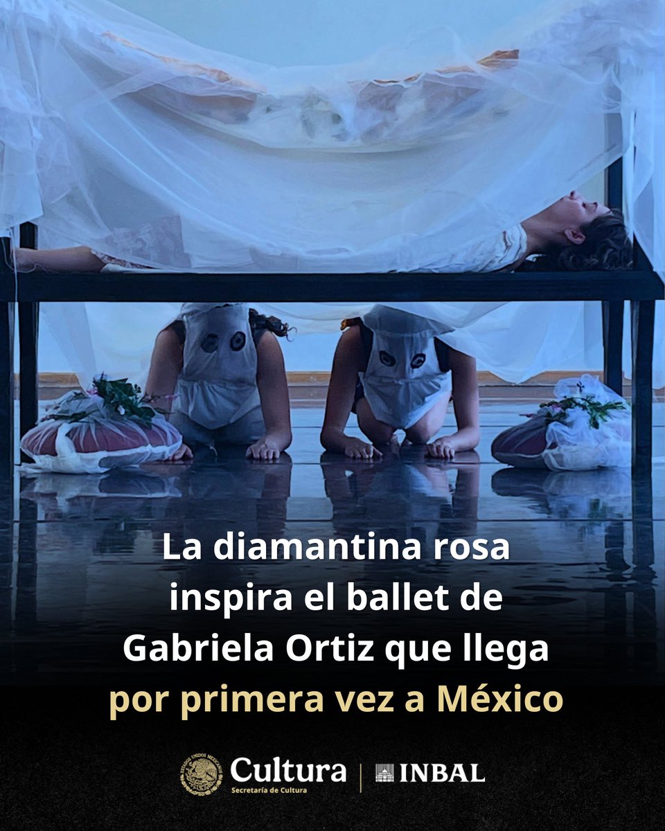 Instituto Nacional de Bellas Artes y Literatura tweet media