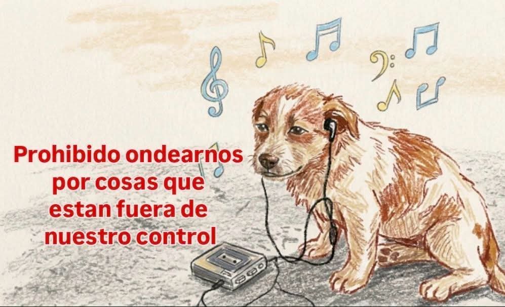 nxstypxet's tweet photo. https://t.co/4iOAiNvEiM