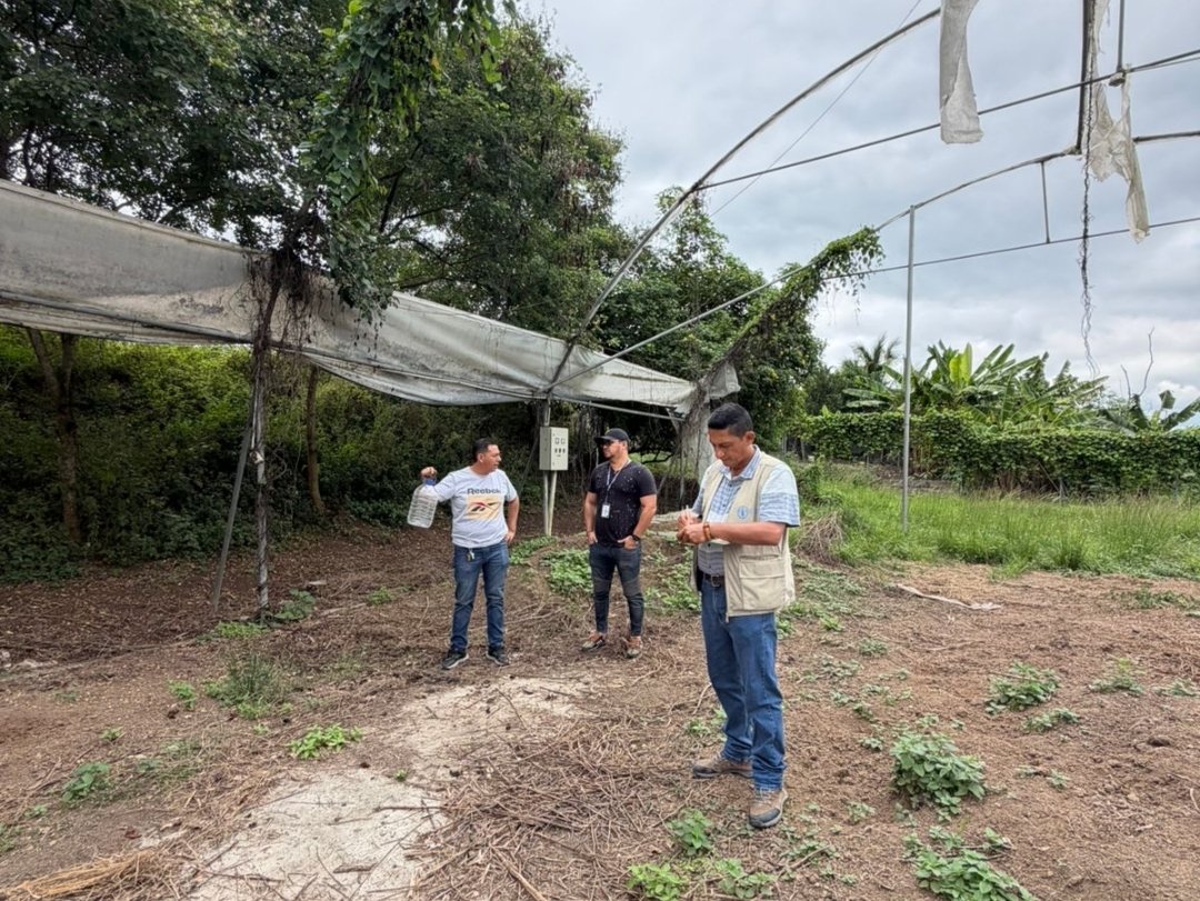 Agricultura_CZ4's tweet photo. #Manabí | Participamos en reunión de trabajo y visita de campo con jóvenes de la Corporación Fortaleza del Valle, en el marco del proyecto AGROJOVEN CACAO, ejecutado por la @FAOEcuador, como MAGP, brindamos apoyo técnico durante la jornada. 🇪🇨🇪🇨
#GobiernoDelEcuador https://t.co/quR75JvhGZ