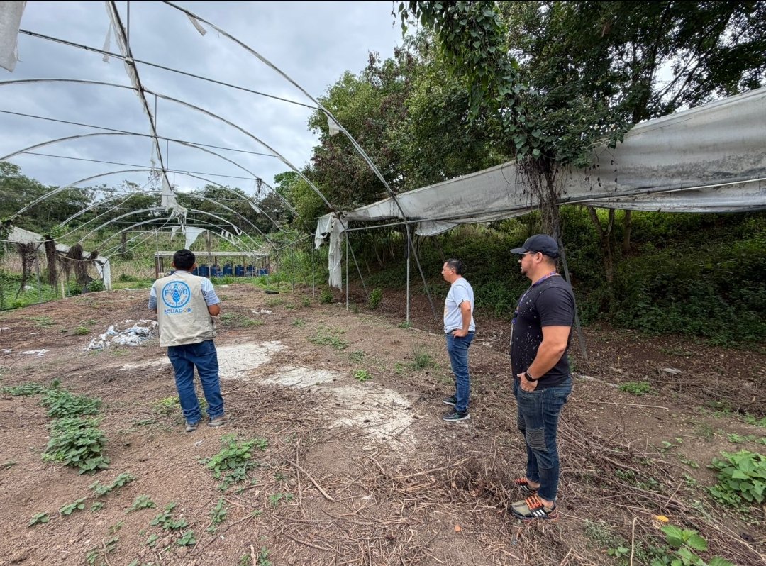 Agricultura_CZ4's tweet photo. #Manabí | Participamos en reunión de trabajo y visita de campo con jóvenes de la Corporación Fortaleza del Valle, en el marco del proyecto AGROJOVEN CACAO, ejecutado por la @FAOEcuador, como MAGP, brindamos apoyo técnico durante la jornada. 🇪🇨🇪🇨
#GobiernoDelEcuador https://t.co/quR75JvhGZ